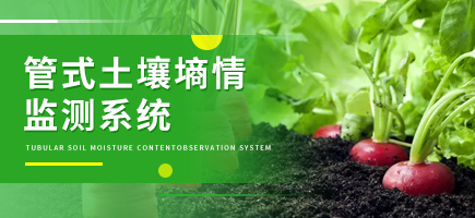 管式土壤墒情监测系统