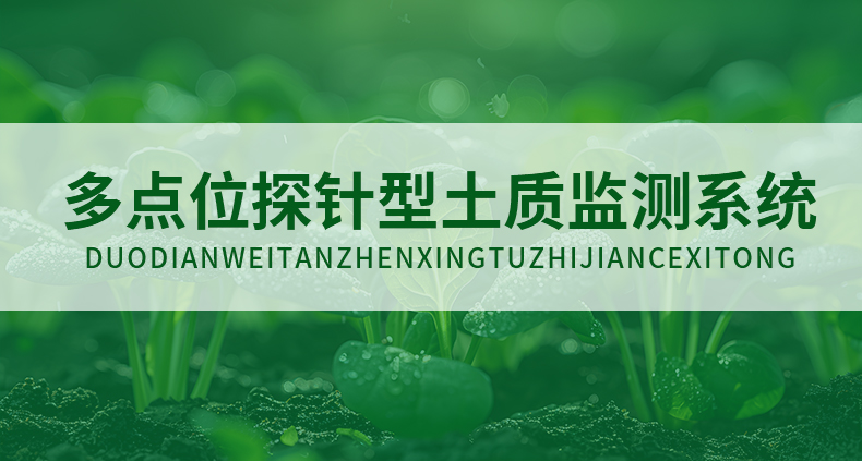 多点位探针型土质监测系统_01.jpg